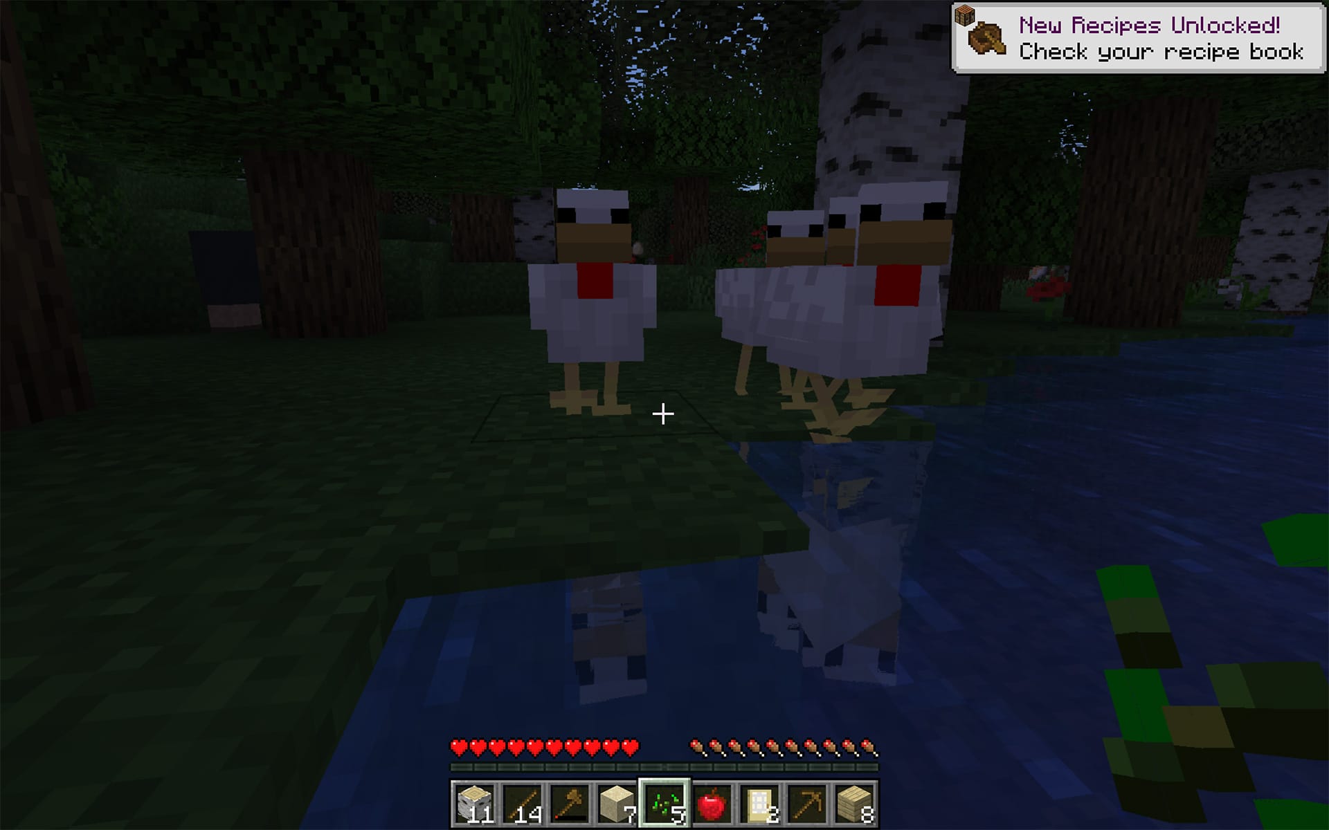 Minecraft - Hello Chickens