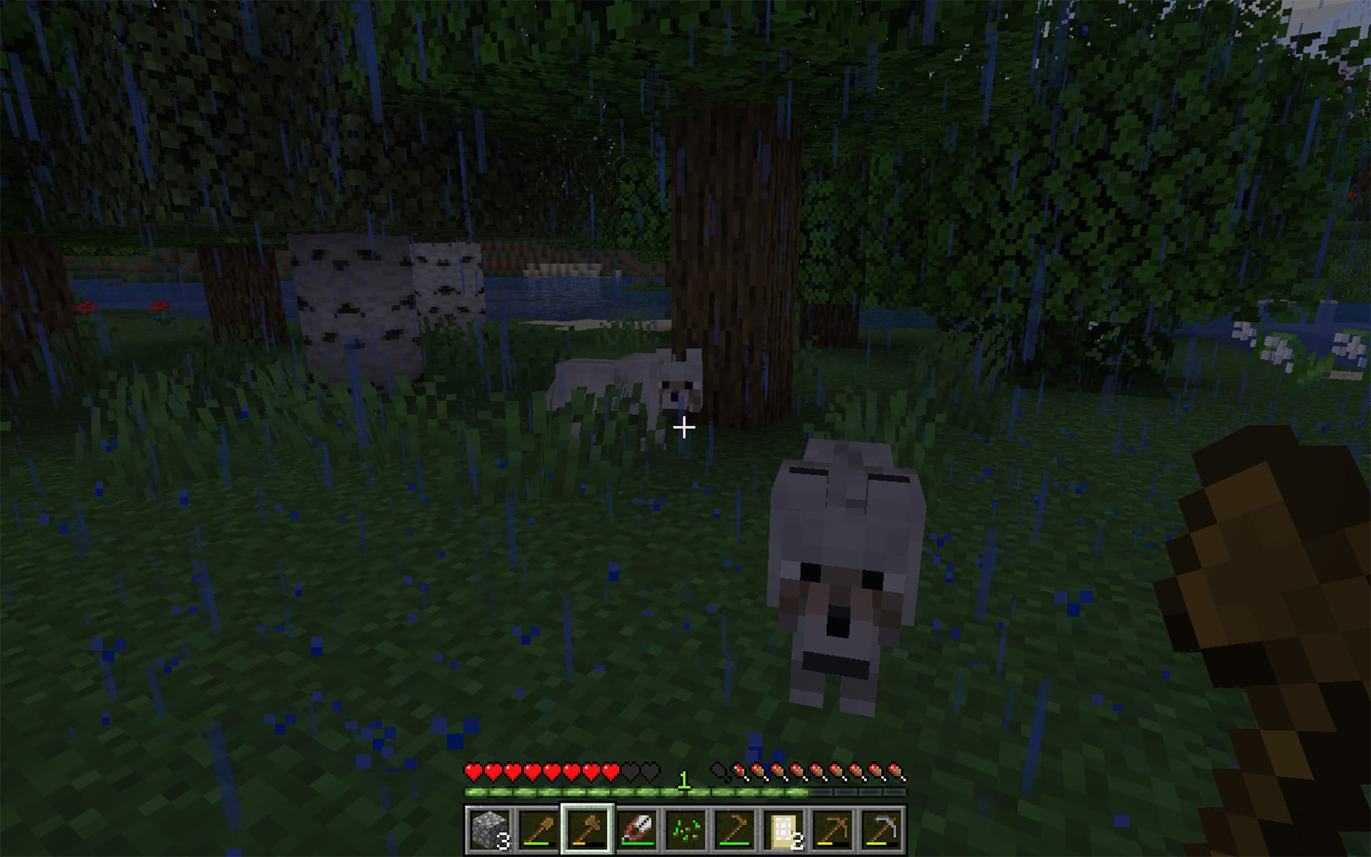 Minecraft - A Hungry Pack of Wolves