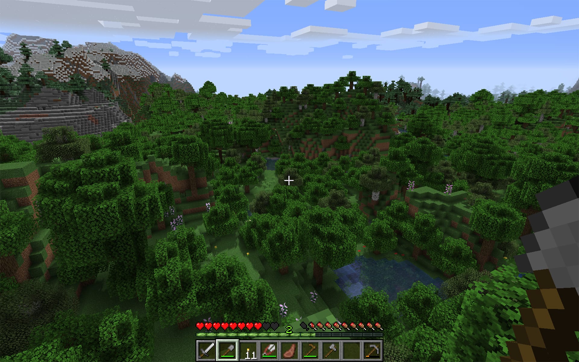 Minecraft - View of Forest