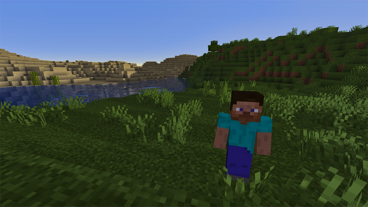 Steve in a field in Minecraft